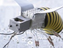 Η ΕΞΑΝΤΙΚΕΙΜΕΝΕΙΚΕΥΣΗ ΒΑΣΗ ΕΠΙΒΙΩΣΗΣ ΑΛΛΑ ΚΑΙ ΜΟΧΛΟΣ ΧΕΙΡΑΓΩΓΗΣΗΣ